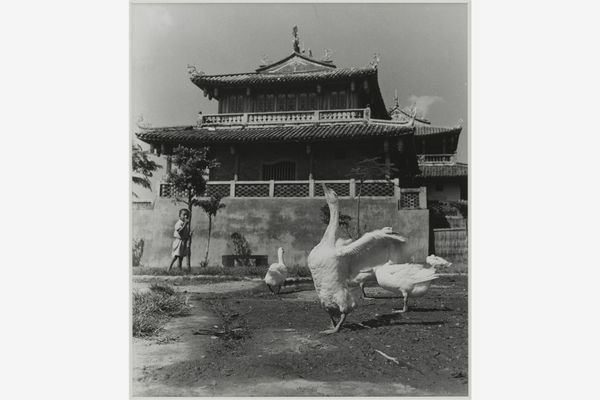 李鳴鵰 Lee Ming-Tiao